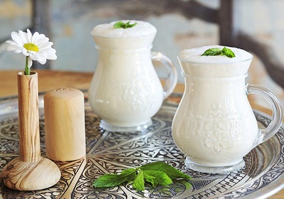 Yoghurt and Ayran Units